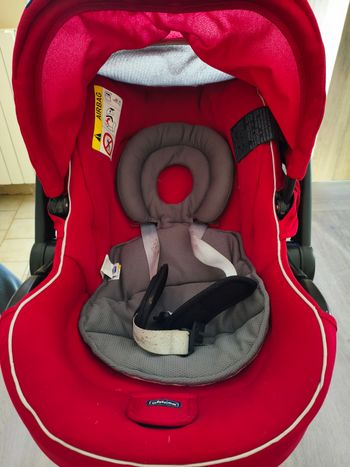 Coque chicco