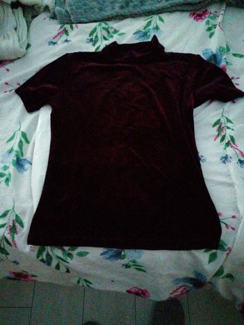 Tee-shirt style velours