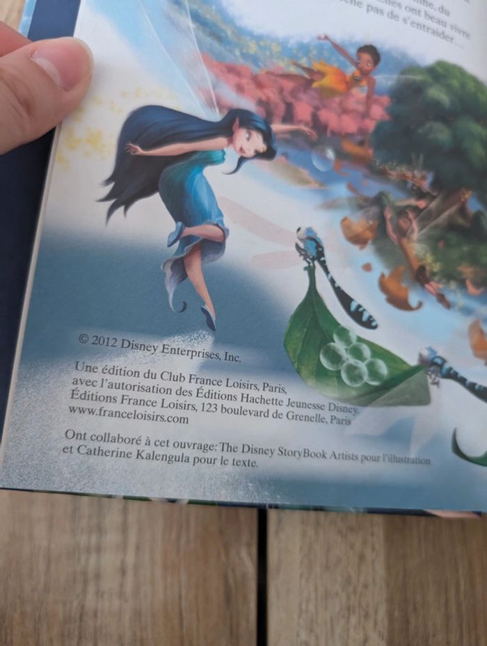 Lot livres Disney - Édition France Loisirs - photo numéro 7