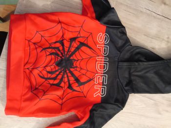 Sweat spiderman
