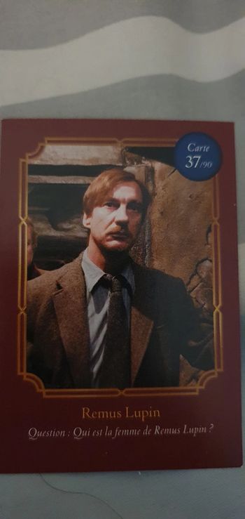 Cartes Harry Potter Auchan
Remus Lupin n° 37/90