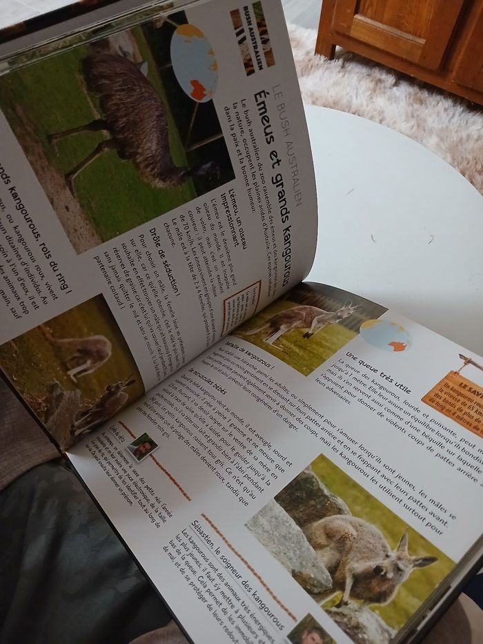 Livre une saison au zoo - photo numéro 3