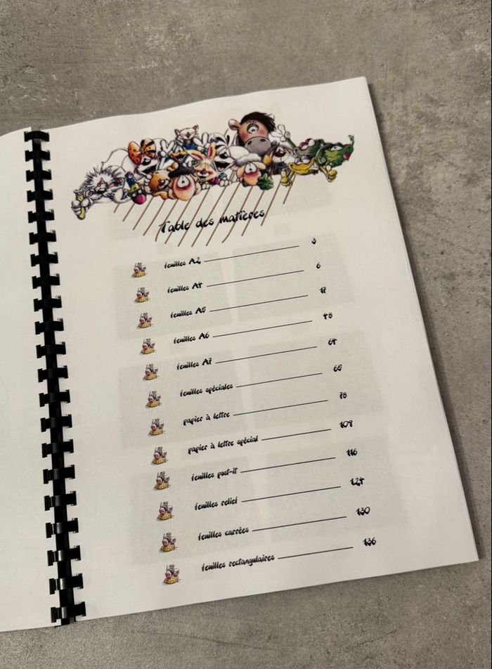 Registre/Collection Diddl - photo numéro 3