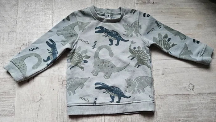 Pull dinosaures 18 mois
