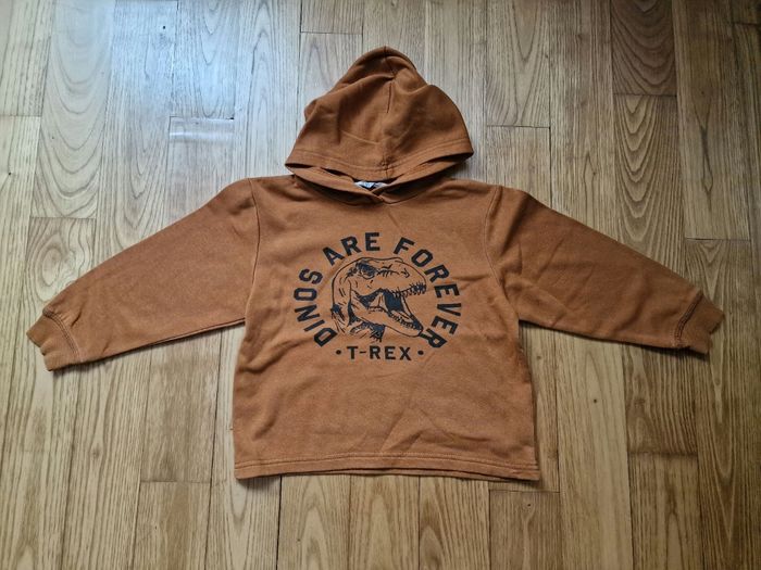 🧥 Lot de 4 sweat-shirts à capuche garçon 6 ans 👦 - photo numéro 8