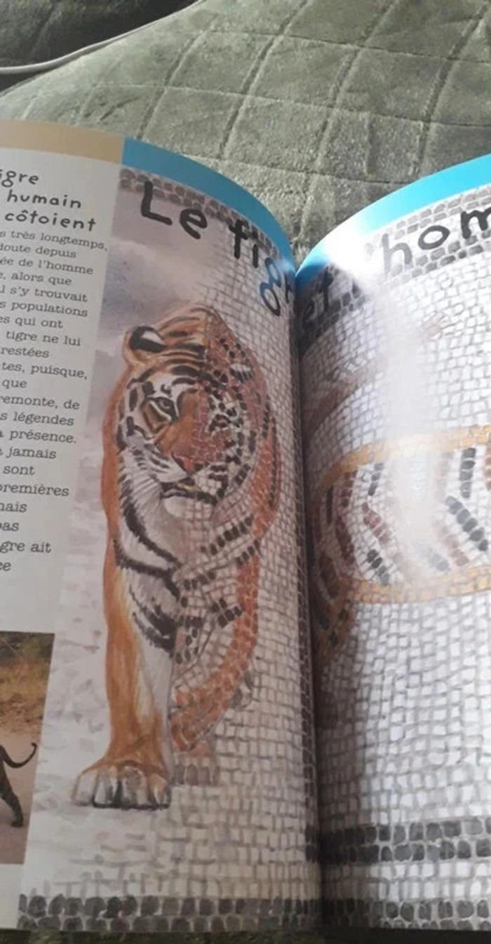 Superbe lot d' ouvrages animalier / Le Tigre / L' éléphant / Jeunesse. - photo numéro 14