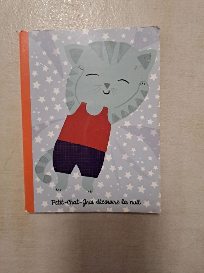 Petit chat gris découvre la nuit