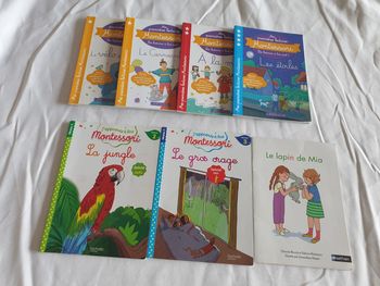 Lot 7 livres Montessori Lecture CP