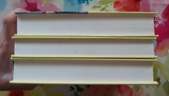 Henri IV T1 à 3 de Michel Peyramaure Ed. France Loisirs - photo numéro 4