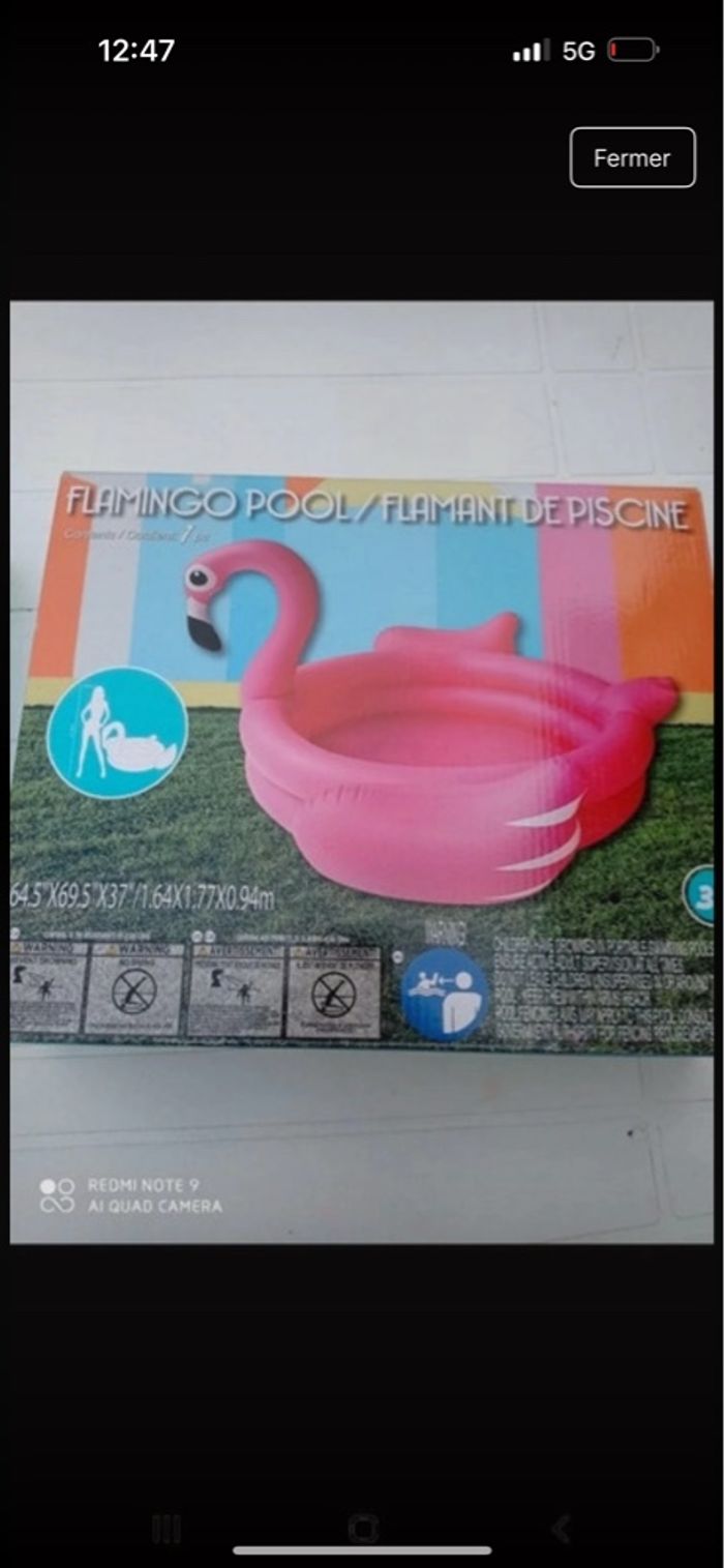 Piscine flamand rose