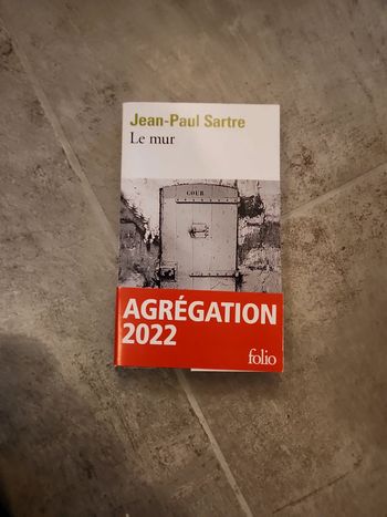 Livre : Le mur