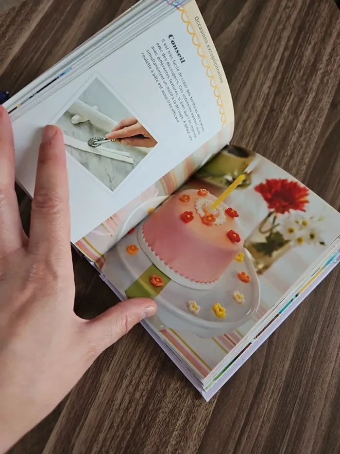 Livre gâteau - photo numéro 8
