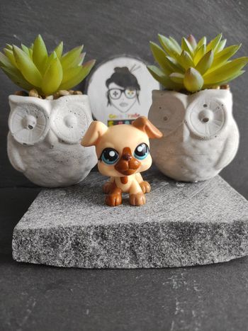 Littlest Petshop Pet Shop LPs chien Boxer 1516 dog #geektradelpschien
