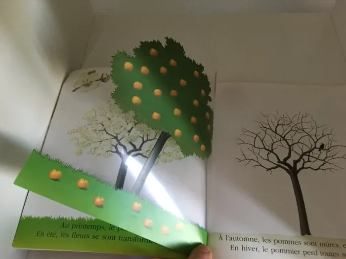 Livre les fruits du jardin - photo numéro 3
