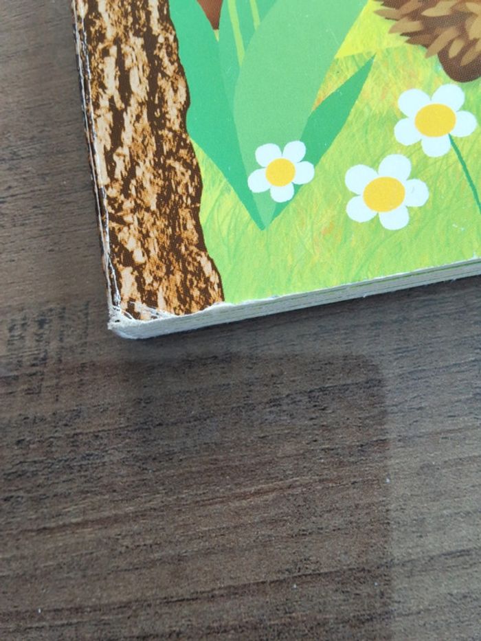 Livre - photo numéro 4