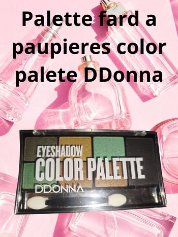 Fard a Paupieres Color Palette Sparking Sable - D DONNA