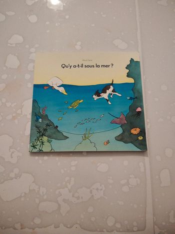 Livre Qu'y a-t-il sous la mer?