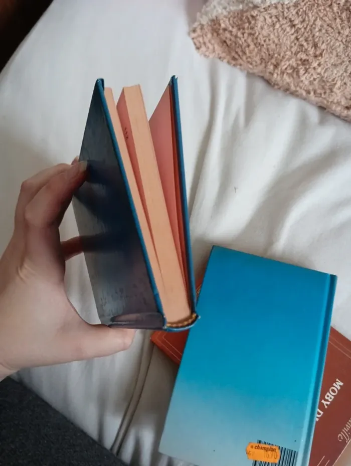 Lot de 3 livres - photo numéro 10
