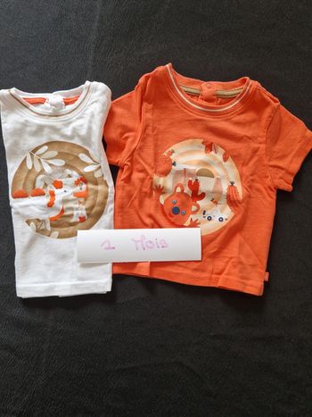 Lot de deux tee-shirts