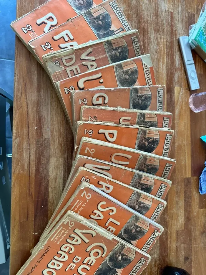 Lot de 12 livres les cris de la misère humaine