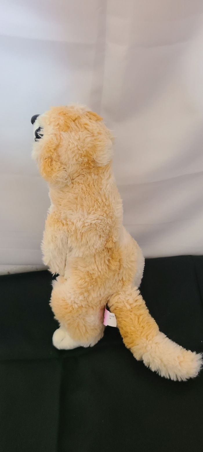 Trigon Peluche Suricate - photo numéro 2