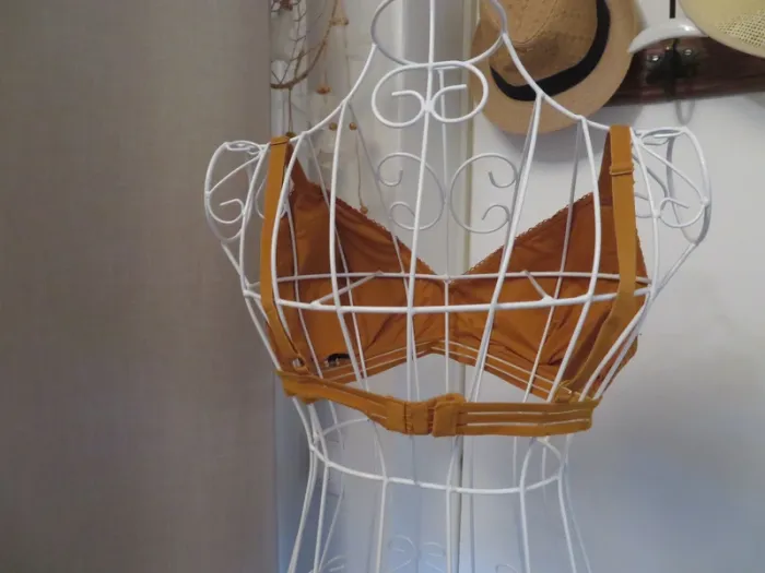 soutien gorge - photo numéro 2