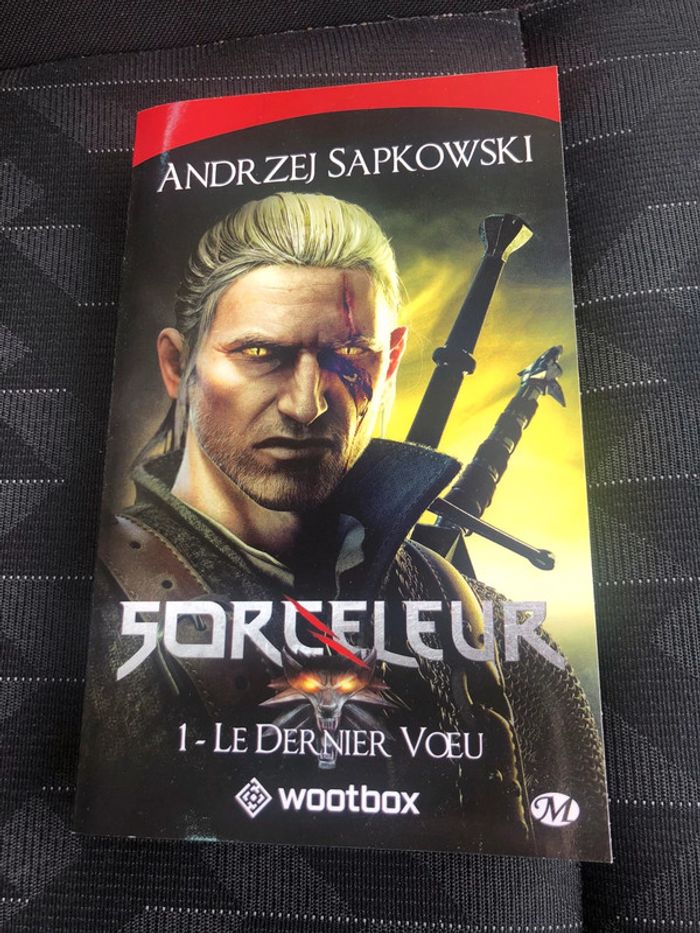 Sorceleur, tome 1 : Le dernier voeu