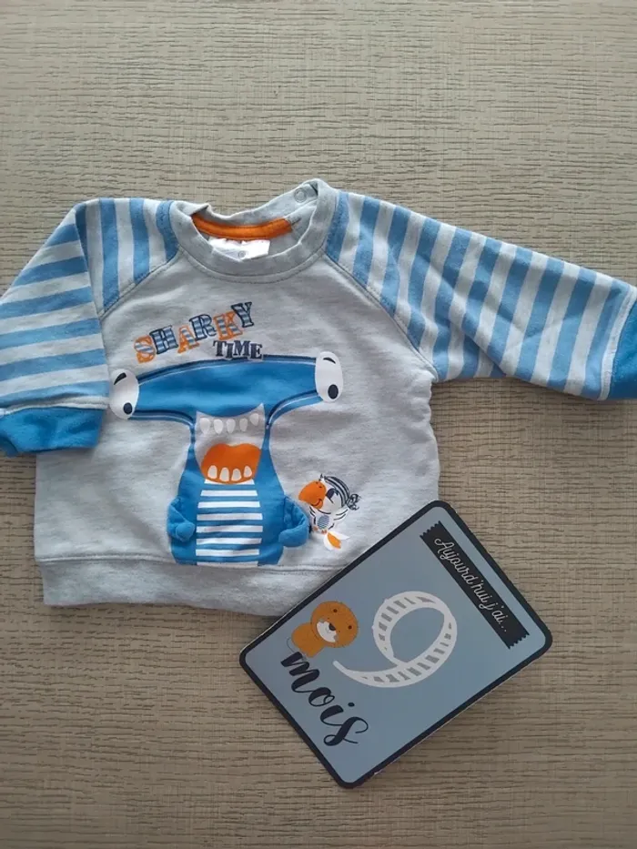 Pull 9 mois / 74 cm