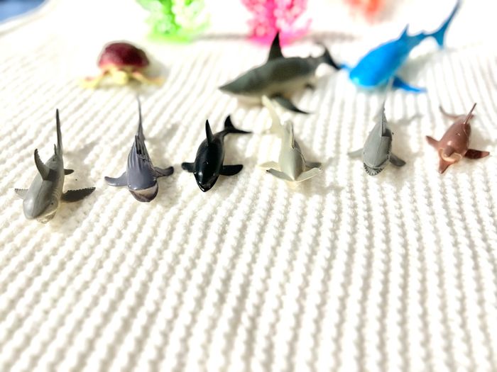 Crabe, requins, tortue, cage, hippocampe, algue, calamar. - photo numéro 5