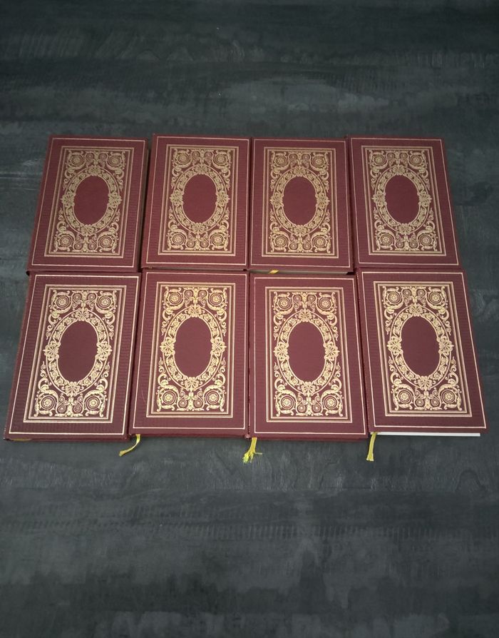 Lots de 8 livres anciens de serge grafteaux 🍀 les ducs de Bourgogne 🍀tomes  1 à 8 🍀