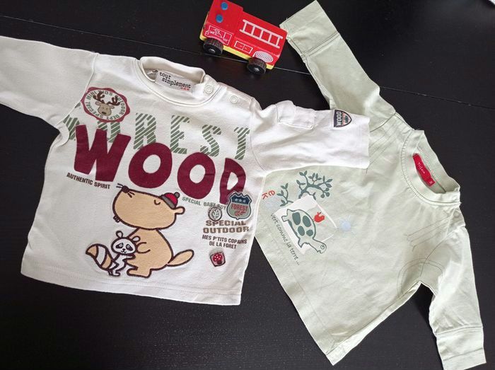 Lot de 2 tee shirts 3 mois