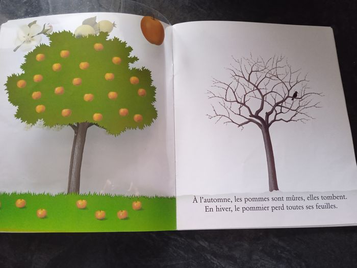 Mes livres magiques cache cache avec les fruits du jardin - photo numéro 7