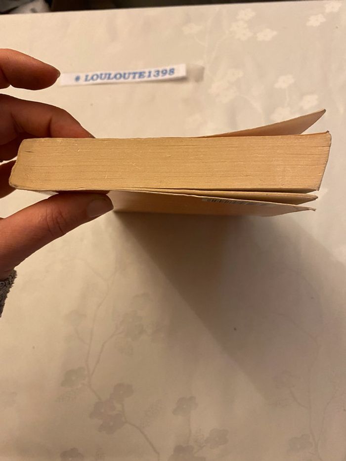 Curiositas N°6 - photo numéro 5