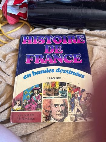 Histoire de France en bande dessinée