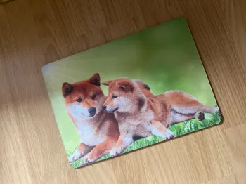 Tapis souris shiba
