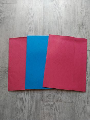 Lot 3 pochettes
