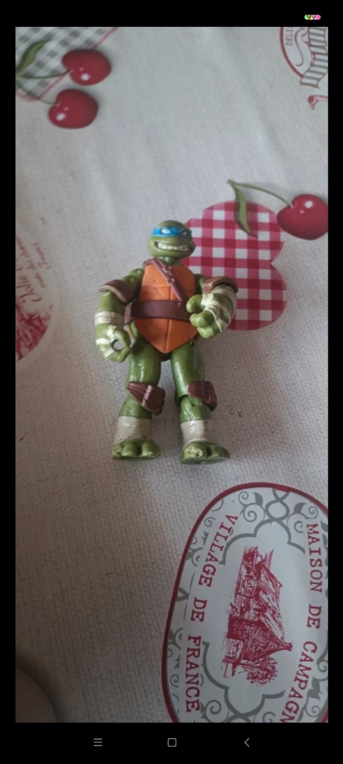 Tortue ninja