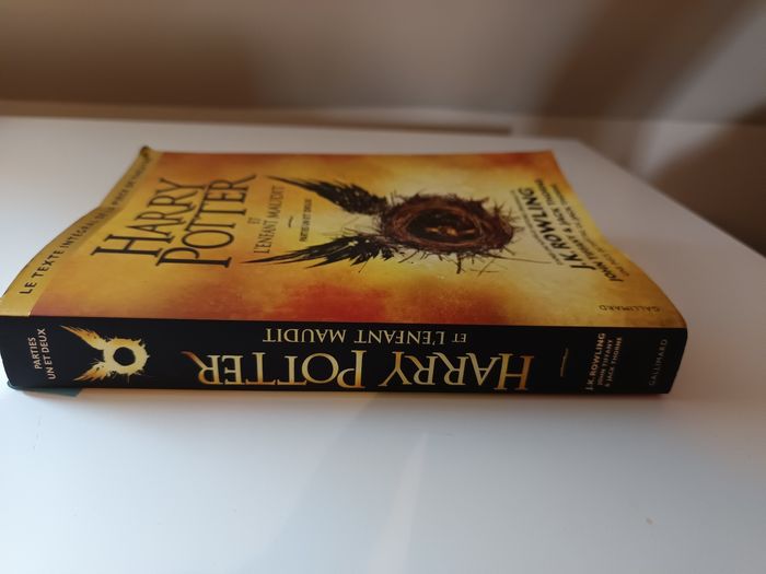 Livre Harry Potter - photo numéro 4
