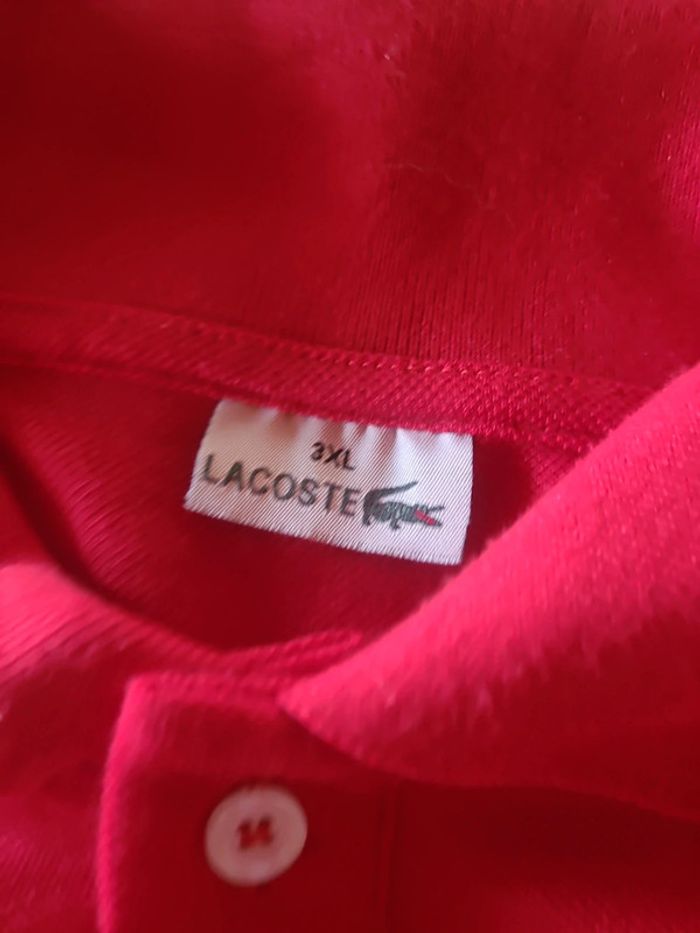 Polo Lacoste - photo numéro 4