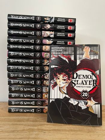 Manga démon slayer avec manquant