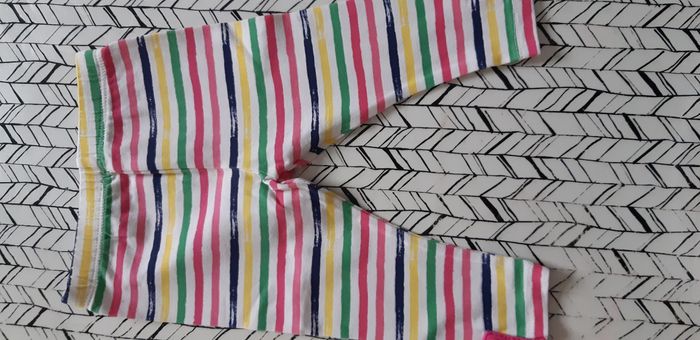 lot de leeging(3mois) - photo numéro 2