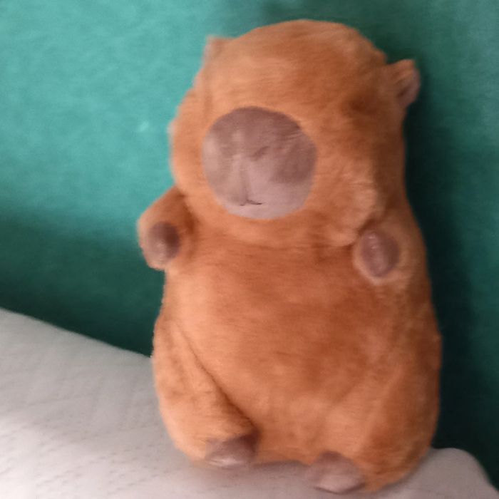 Peluche Capybara - photo numéro 3