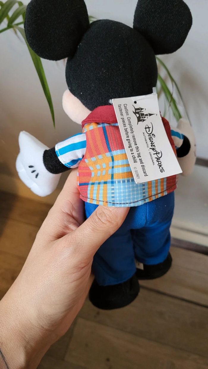 Mickey Cast Member - photo numéro 3