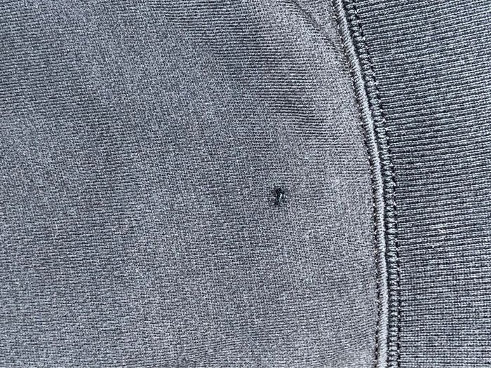 Zip Ralph Lauren taille L - photo numéro 6