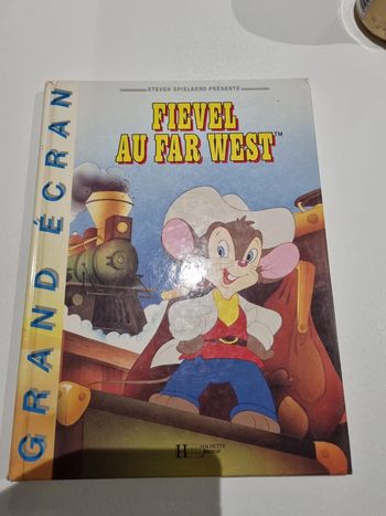Livre fièvre au far west