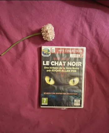 Le chat noir