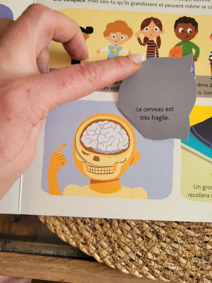 Le corps humain. Livré animé - photo numéro 7