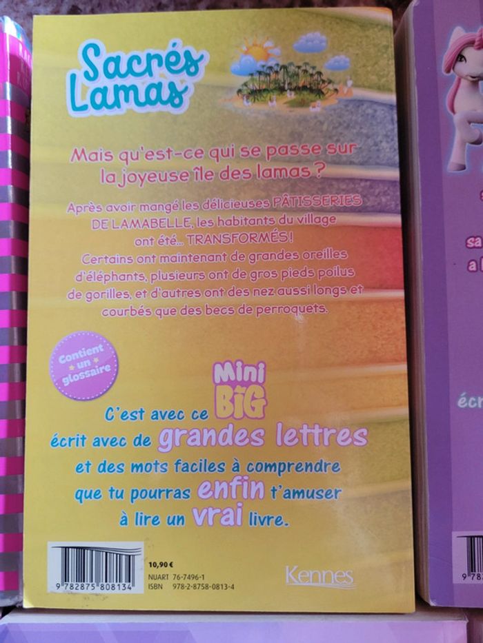 Lot de 5 livres pour jeune ado - photo numéro 5