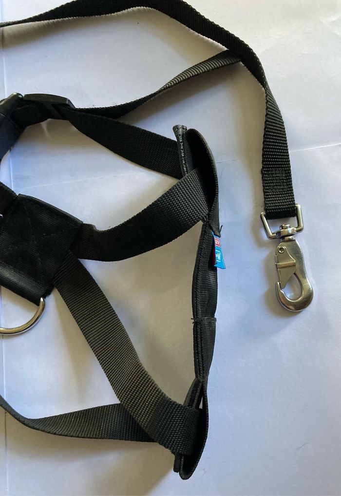 Harnais pour ceinture de sécurité - photo numéro 3