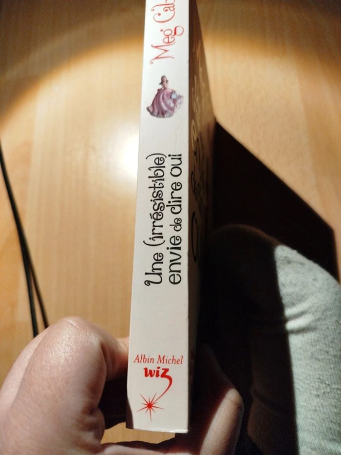 Une irrésistible envie de dire oui roman - photo numéro 4